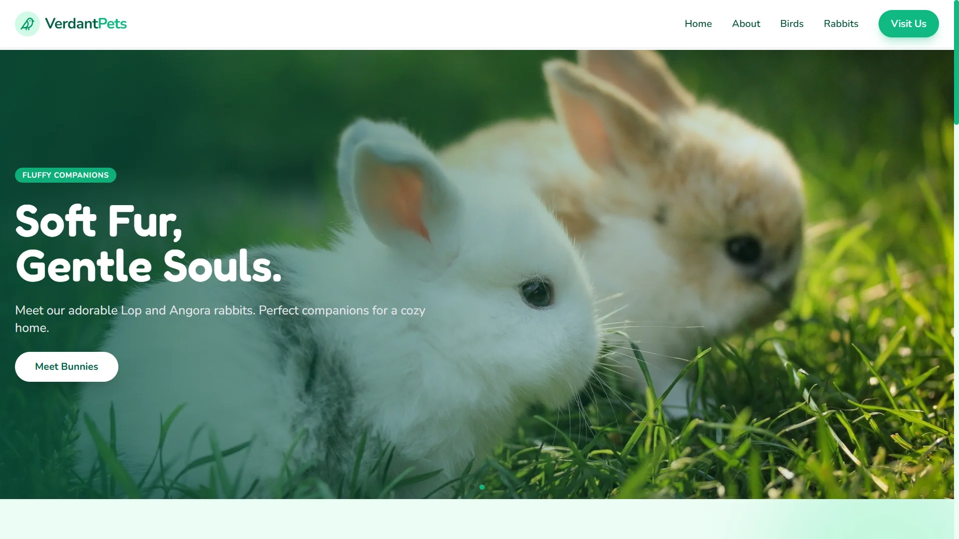 verdant pets website